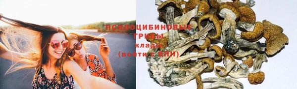 дурь Пестово