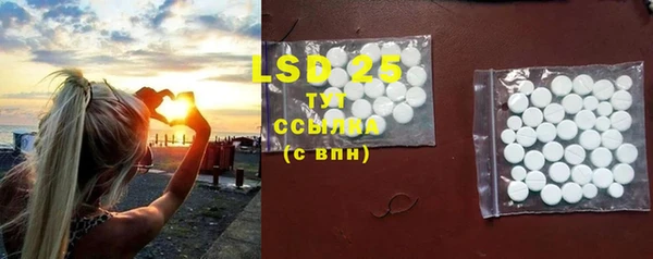 ГАЛЛЮЦИНОГЕННЫЕ ГРИБЫ Пересвет