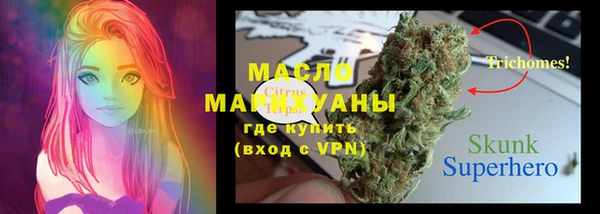 дурь Пестово