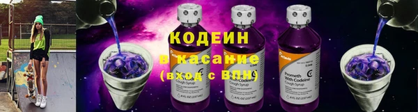 дурь Пестово