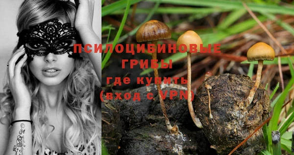кокс Абаза