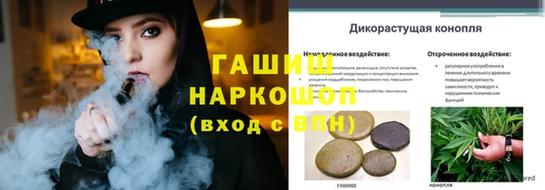 дурь Пестово
