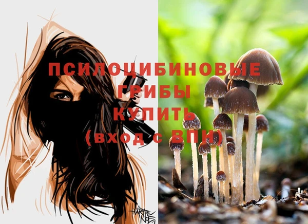 кокс Абаза