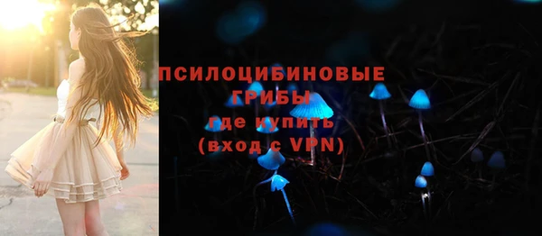 ГАЛЛЮЦИНОГЕННЫЕ ГРИБЫ Пересвет