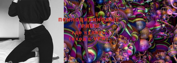 ГАЛЛЮЦИНОГЕННЫЕ ГРИБЫ Пересвет