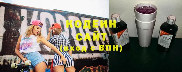 ГАЛЛЮЦИНОГЕННЫЕ ГРИБЫ Пересвет